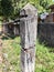 Rusty barbed wire tied to concrete posts