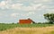 Rusty Barn Across Corn Field