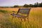 Rusty bench at dusk abandoned in a wild field