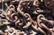 Rusty boat anchor chains