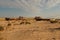 Rusty boat shells lying in the desert