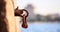 Rusty bollard waits at quay for a boat to be tied. Blurred background, close up, details, banner