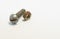 Rusty bolt and nut lie next each other on gray background