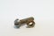 Rusty bolt and nut lie next each other on gray background