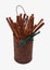 Rusty can with cinnamon sticks green raffia isolated