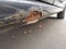 Rusty car undercoat weathered and rotten with rust on car body needs professional car repair service for corrosion and corroded ca