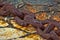 Rusty chain lying on the swab close to a marina