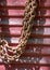 Rusty chains against an old barnwood building