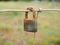 Rusty closed padlock hanging from a wire mesh fence