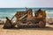 Rusty Digger on the Beach