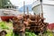 Rusty Engines by Dry Docked Boats