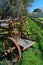 Rusty farm equipment