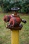 Rusty fire hydrant