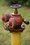 Rusty fire hydrant