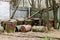 Rusty fuel barrels near the abandoned warehouse at Chernobyl exclusion zone