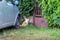 Rusty gate overgrown with bushes, old car, red white cat looking seriously at camera