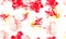 Rusty Hibiscus Painting. Coral Flower Leaf. Red Seamless Leaf. White Watercolor Foliage. Pattern Painting. Tropical Design. Exotic