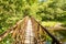 Rusty iron bridge, among the trees, over the upper reaches of the River Severn in the Llanidloes countryside, Wales