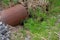 Rusty iron drainage pipe in the grass