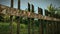 Rusty iron fences and green gardens