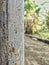 A rusty iron pole that has a rough texture against a background of banana trees