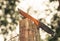 Rusty knife stuck on a wooden board surrounded by iron wires