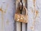 Rusty lock on weathered door. object, background.