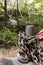 Rusty logging chain and forestry worker in background