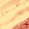 Rusty Marble Background. Flame Interior Watercolor. Rufous Decoration Liquid. Maroon Construction Watercolor. Red Surface Cement.
