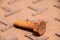 Rusty metal bolt Lay down on the steel plate floor in brown color with rusty iron.