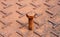 Rusty metal bolt put on the steel plate floor in brown color with rusty iron.