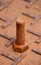 Rusty metal bolt put up on the steel plate floor in brown color with rusty iron.