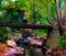 Rusty metal bridge across a forest river