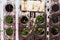 Rusty metal fence with empty name plate and summer garden.