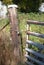 A rusty metal gate chain locked to a wooden post on a farm.  Midwest, USA