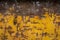 Rusty Metal Scratches Yellow Paint Brown Construction Dumpster B