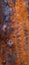 Rusty metal surface with grunge texture and strongly weathered structures in orange and blue