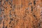 Rusty metal texture background. Old worn iron door with peeled off orange paint