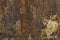 Rusty metal texture. Perfect grunge background