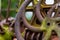 Rusty, mossy and aged iron Gear from a piece of vintage farm equipment at near macro distance