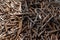 Rusty nails in an ironmongery shop at St Fagans National Museum of History in Cardiff on April 27