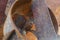 Rusty in the nozzle and the rudder of the ship, which stands in the dry dock