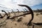 Rusty old anchors on the beach at the Anchor Cemetary graveyard at Praia do Barril beach, in Tavira, Algarve, Portugal