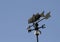 Rusty Old Fish Weather Vane with Blue Sky Background