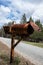 Rusty old metal mailbox on a country road