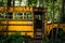 A rusty old school bus in a junkyard.