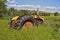 Rusty old tractor buried in long grass