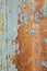 Rusty old wooden wall painted blue. Detailed photo texture