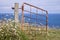 Rusty open gate with flowers