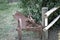 A rusty plow in the countryside fields near a farm Italy, Europe